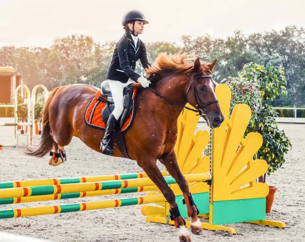 Girl with red horse during equestrian showjumping.
