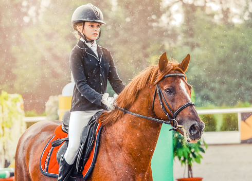 Girl with red horse during equestrian showjumping.