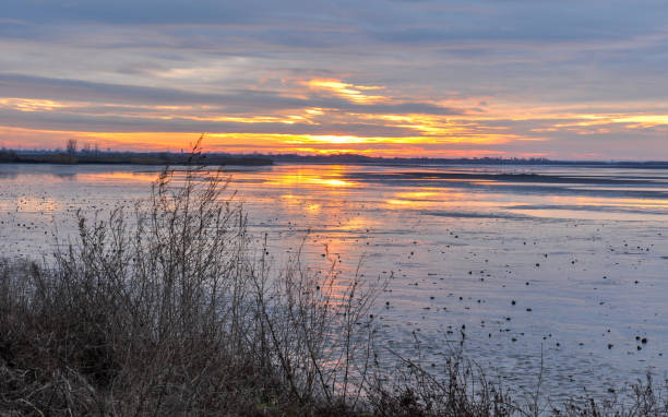 istock Beautiful sunset of the Fishpond 895643554