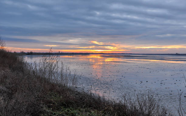 istock Beautiful sunset of the Fishpond 895643564