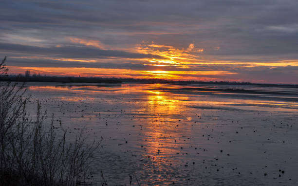 istock Beautiful sunset of the Fishpond 895643592