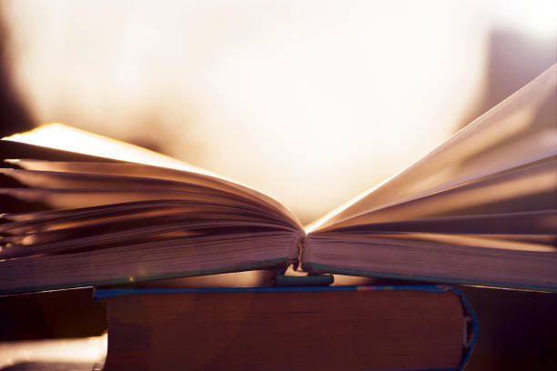 istock Open book on wooden table on natural background. Soft focus 895645992