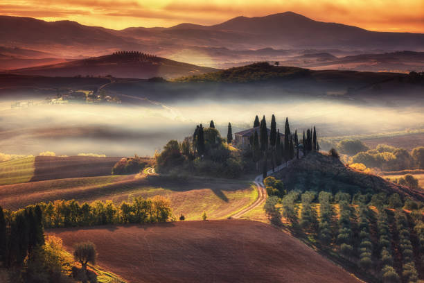 toscane, paysage panoramique avec ferme célèbre collines ondulantes et vallées beau matin doré clair au lever du soleil à l’automne, val d’orcia, italie - tuscan cypress photos et images de collection