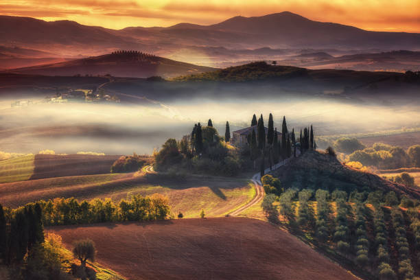 tuscany, panoramic landscape with famous farmhouse rolling hills and valleys in beautiful golden morning light at sunrise in autumn, val d'orcia, italy - val tuscany cypress tree italy imagens e fotografias de stock