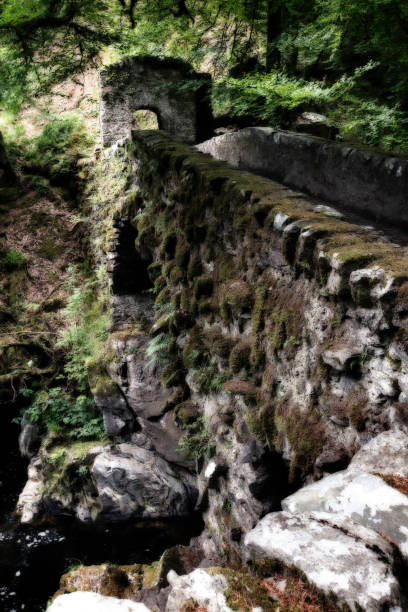 istock The Hermitage Bridge in Perthshire Scotland with moss in artistic conversion 895647036