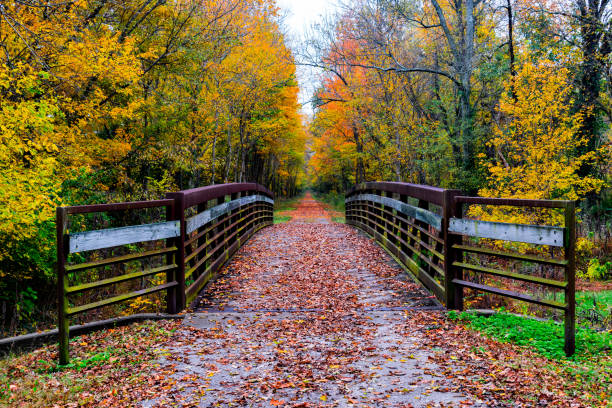 istock Bike Trail Bridge in the Fall 895653848