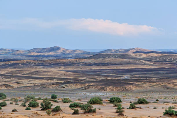 istock Desert Landform With Rocky Hills 895656946