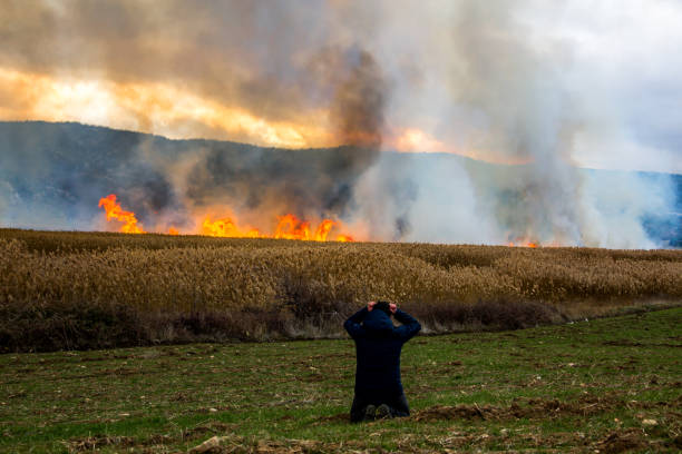 istock Fire at the edge of the mountain 895674658