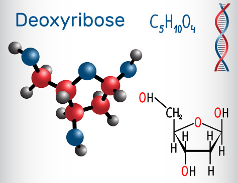 Deoxyribose Example Deoxyribose Molecule It Is A Monosaccharide It Forms Part Of The ...