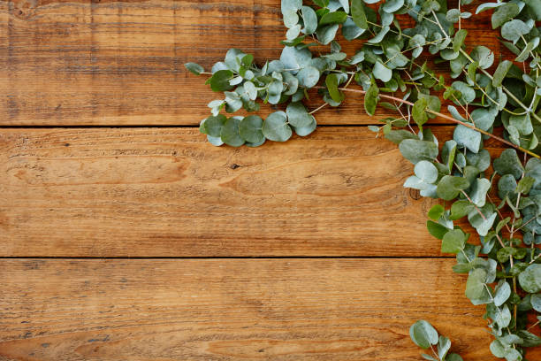 istock australian eucalyptus on wooden table 895677738