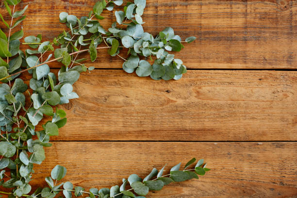 istock fresh australian eucalyptus on wooden table 895677816