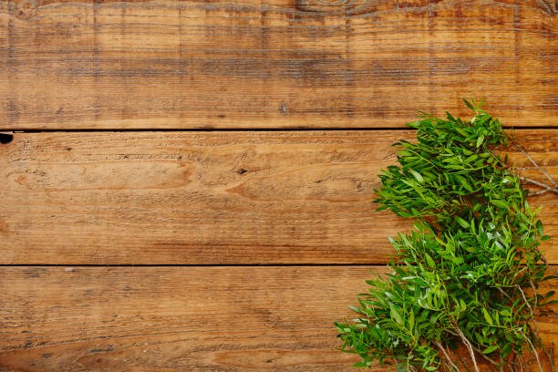 istock fresh green leaves on wooden surface 895677822