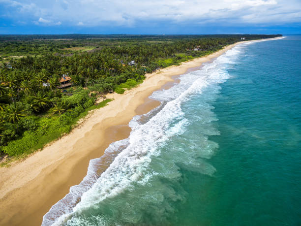 istock Aerial view of long tropical beach 895678654