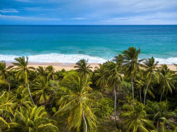istock Aerial view of tropical beach 895683414