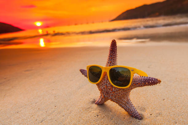 Starfish in sunglasses on sea beach