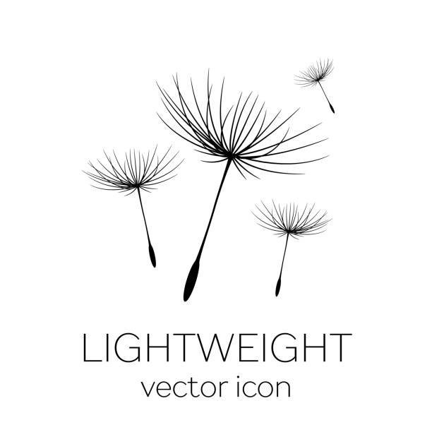 ilustrações de stock, clip art, desenhos animados e ícones de flying dandelion seeds, vector icon - dandelion
