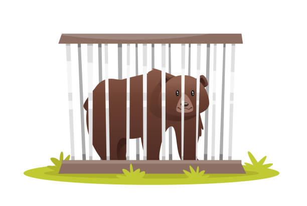 1,315 Zoo Cage Illustrations & Clip Art - iStock | Zoo cage bars, Empty zoo cage, Elephant zoo cage 1,315 Zoo Cage Illustrations & Clip Art - iStock | Zoo cage bars, Empty zoo cage, Elephant zoo cage