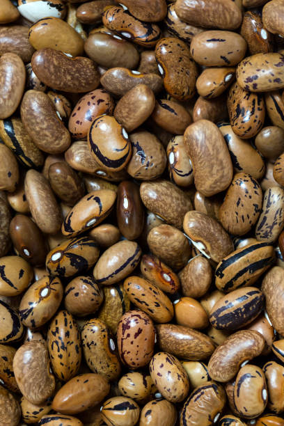 istock Background of raw beans 895691906