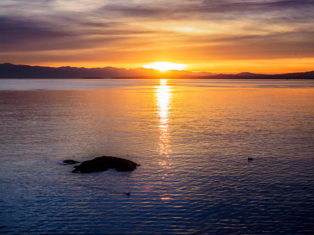 istock Sunset at the breakwater in Victoria BC, Canada 895699414