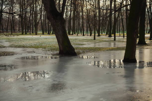 istock A look at St. Petersburg through a wide-angle lens 895710716