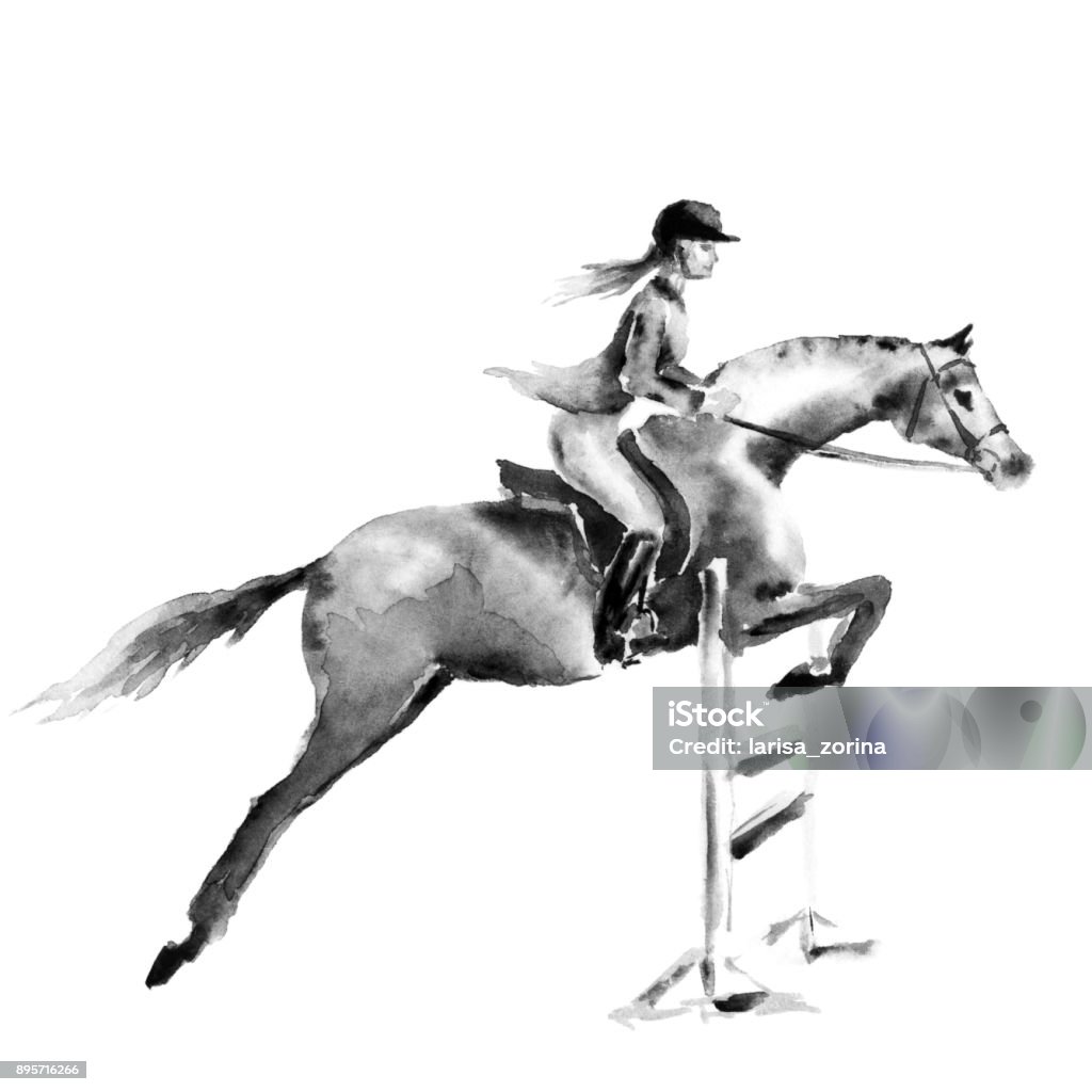 Dessin Cheval Qui Saute Avec Cavalier Fille De Cavalier Ou Femme Et Cheval De Saut Dobstacles En Forêt Sur Blanc Aquarelle Monochrome Noir Et Blanc Ou Main Dencre Dessin Art Vecteurs libres de droits et plus d'images vectorielles