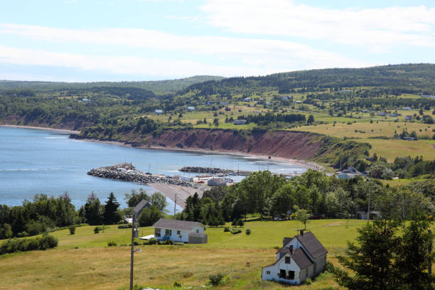 istock Ballantyne cove scenery and marina 895726218