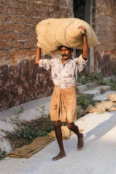 Kochi: Barefooted indian man carrying sack of spices on his head on the streets of old city Cochin near the factory