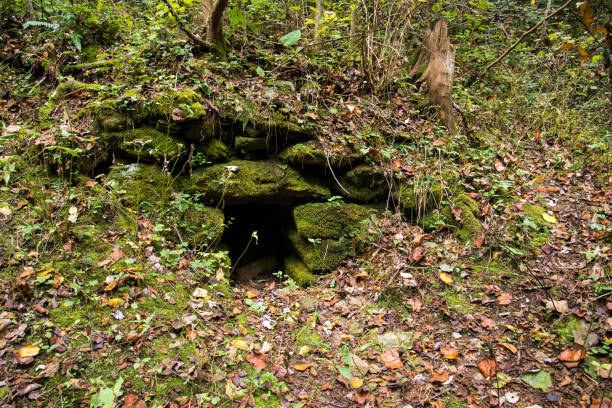 istock Old kiln in nature 895746684