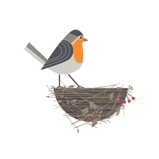 ikona aplikacji robin bird - birdhouse stock illustrations