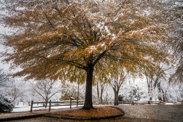 istock Bright color on a gloomy day 895763622