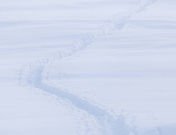 istock climbers trail in the snow as a background 895766222
