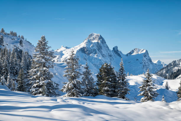 istock Beautiful winter landscape with snow-covered trees and mountains 895766532