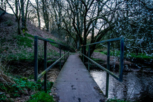 istock water in spring with bloom trees in Europe 895766824