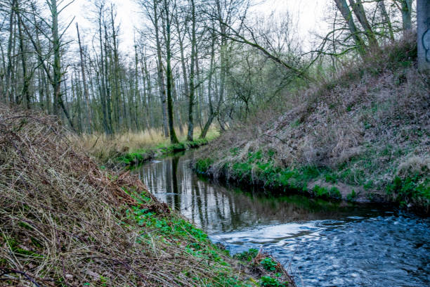 istock water in spring with bloom trees in Europe 895766932