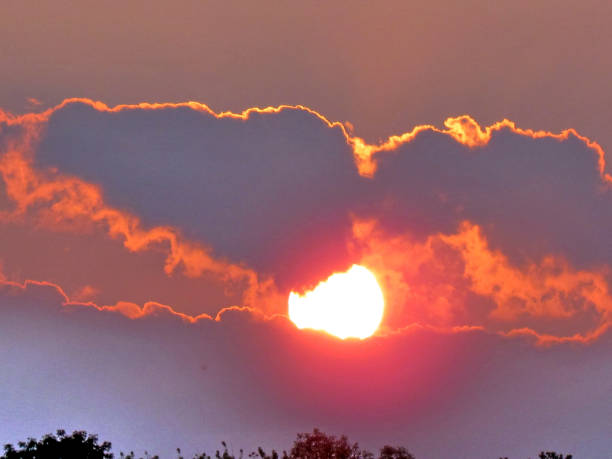 istock Darlington Park the sunset 2015 895769328