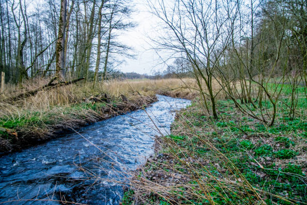 istock water in spring with bloom trees in Europe 895769624