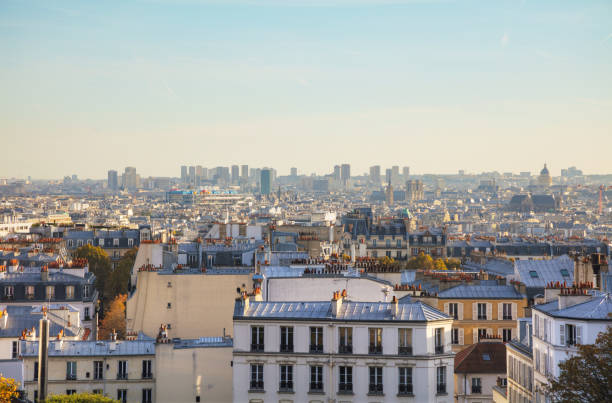 istock Aerial overview of Paris 895770200