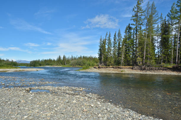 istock Clean beautiful river in the polar Urals. 895782024