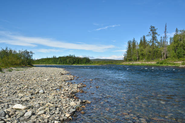 istock Clean beautiful river in the polar Urals. 895782028