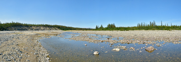 Summer panorama of the taiga river in the Polar Urals. Water landscape, wild nature.