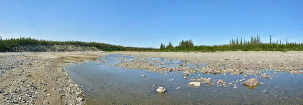 Photo of Summer panorama of the taiga river in the Polar Urals.