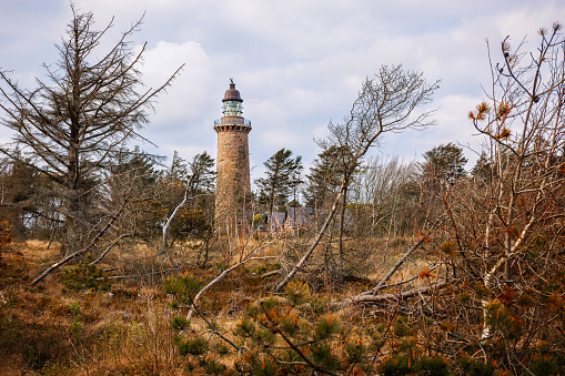 The lighthouse Lodberg Fyr near Agger, Denmark was built in a forest near the coast