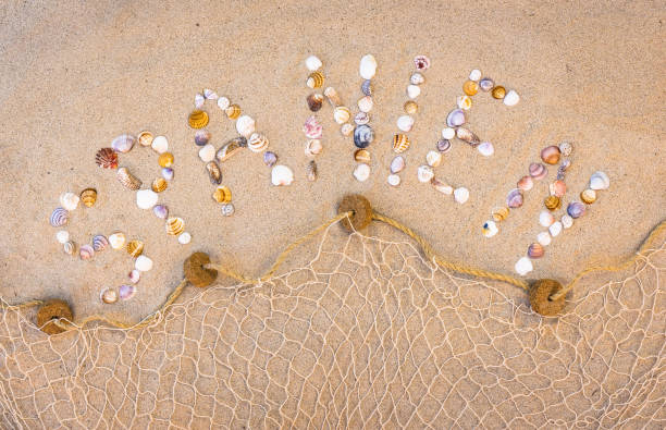 istock Spain Summer vacation beach holiday 895808278