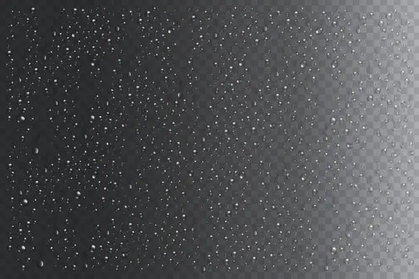 Vector illustration of Vector set of realistic isolated water droplets on the transparent background.