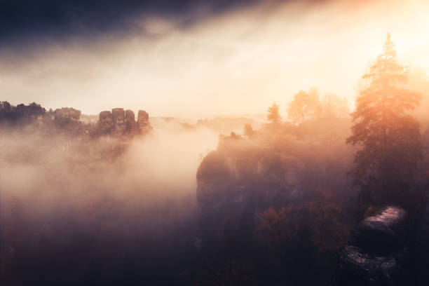 A misty morning in the Elbe Sandstone mountains near Rathen and the Bastei bridge