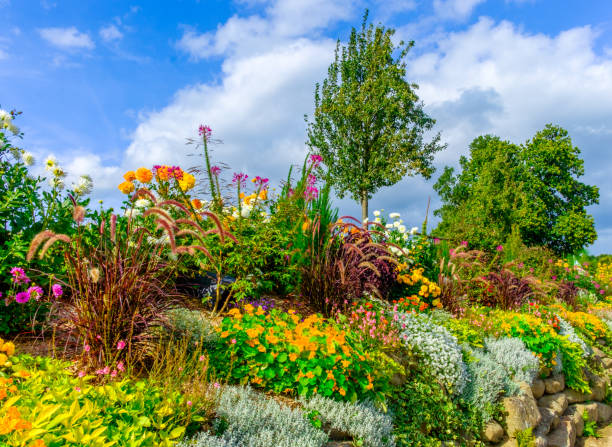 istock St-Fraimbault Rockery 895831974