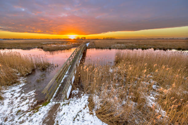istock Bridge in snowy Winter landscape 895846002