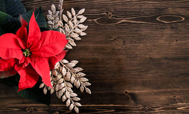 istock Christmas Holiday Background on Wood Grain 895867766