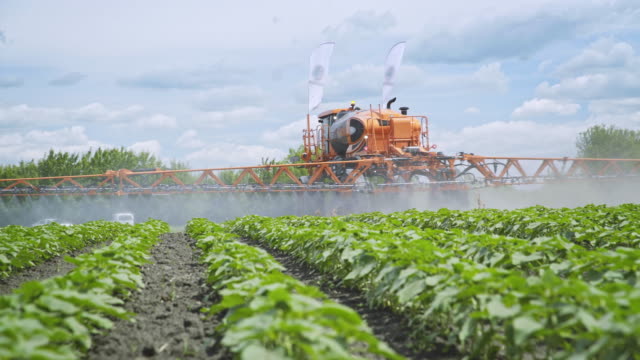 Agriculture fertilizer pesticide spraying. Fertilizing plants. Farm agriculture