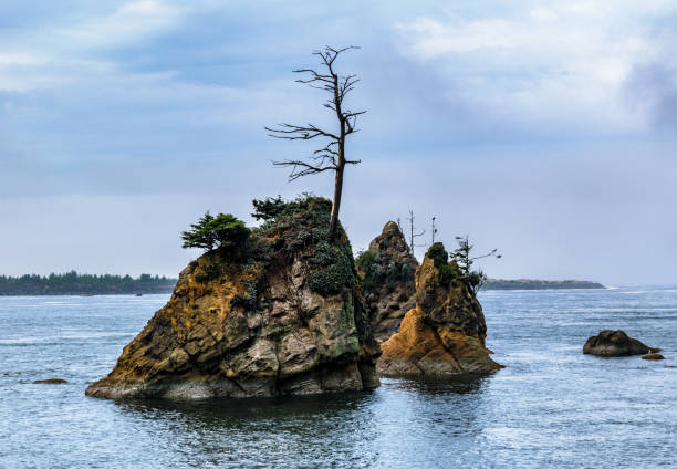 三美神岩形成、ガリバルディ - oregon beach ストックフォトと画像